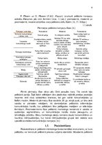 Referāts 'Politiskais mārketings', 6.