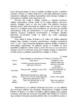 Referāts 'Politiskais mārketings', 7.