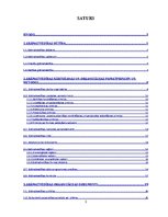 Referāts 'Grāmatvedības kārtošanas un organizācijas metodika', 2.