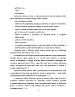 Referāts 'Grāmatvedības kārtošanas un organizācijas metodika', 22.