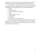 Referāts 'Starptautiskie tiesību akti cilvēku tirdzniecības novēršanā un apkarošanā', 3.