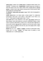 Referāts 'Jaunieši un brilles', 5.