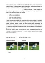 Referāts 'Jaunieši un brilles', 11.