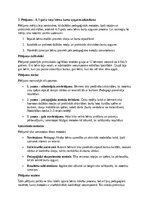 Konspekts 'Burtu apguves veicināšana 4–5 gadu vecumā', 5.