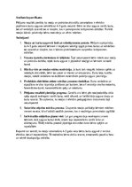 Konspekts 'Burtu apguves veicināšana 4–5 gadu vecumā', 7.