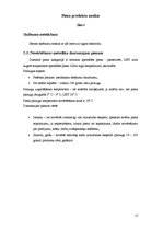 Prakses atskaite 'Prakses atskaite. SIA "Rīgas Piensaimnieks"', 17.