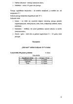 Prakses atskaite 'Prakses atskaite. SIA "Rīgas Piensaimnieks"', 19.