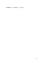 Prakses atskaite 'Prakses atskaite. SIA "Rīgas Piensaimnieks"', 27.