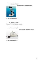 Prakses atskaite 'Prakses atskaite. SIA "Rīgas Piensaimnieks"', 29.