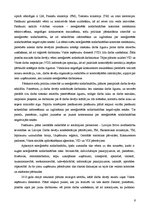 Referāts 'Nelegālā nodarbinātība', 9.