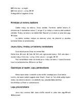 Prakses atskaite 'Biroja darba organizācija', 54.