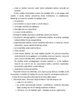 Prakses atskaite 'Biroja darba organizācija', 81.