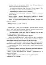 Prakses atskaite 'Biroja darba organizācija', 95.