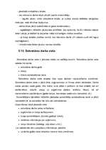 Prakses atskaite 'Biroja darba organizācija', 98.