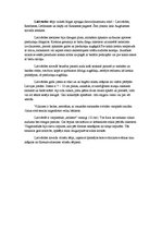 Konspekts 'Tautastērpi Vidzemē', 4.