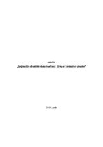 Referāts 'Reģionālās identitātes konstruēšana: Eiropas Savienības piemērs', 1.