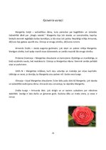 Referāts 'A.Dimā "Kamēliju dāma"', 5.