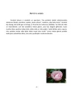 Referāts 'A.Dimā "Kamēliju dāma"', 6.