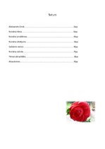 Referāts 'A.Dimā "Kamēliju dāma"', 10.