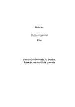 Referāts 'Valsts civildienests, tā būtība, fiziskais un morālais pamats', 1.