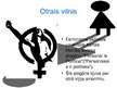 Prezentācija 'Sieviešu tiesības un feminisms', 12.
