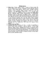 Referāts 'Kļava - skaists lapu koks', 6.