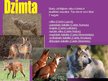 Prezentācija 'Vilks', 4.