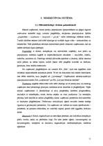 Referāts 'Pircēju tirgus izpēte un potenciālo pircēju un pirkšanas apjoma prognozēšana SIA', 11.