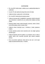 Referāts 'Pircēju tirgus izpēte un potenciālo pircēju un pirkšanas apjoma prognozēšana SIA', 21.