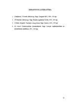 Referāts 'Pircēju tirgus izpēte un potenciālo pircēju un pirkšanas apjoma prognozēšana SIA', 23.