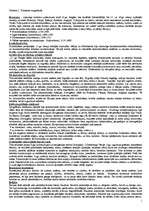 Konspekts 'Renesanse', 1.