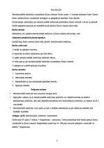 Referāts 'Netradicionālā medicīna Kalnu ciematā', 2.