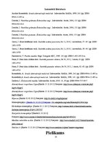 Referāts 'Netradicionālā medicīna Kalnu ciematā', 20.