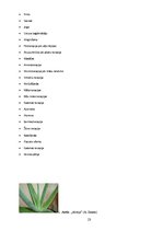 Referāts 'Netradicionālā medicīna Kalnu ciematā', 23.