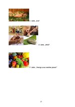 Referāts 'Netradicionālā medicīna Kalnu ciematā', 27.