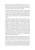 Referāts 'Pinatubo vulkāna izvirdums 1991. gadā', 3.