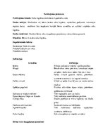 Konspekts 'Novērojuma protokols "Bērna roku mazgāšanas paradumi"', 1.