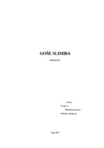 Referāts 'Gošē slimība', 1.