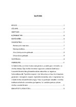 Referāts 'Gošē slimība', 2.