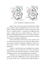 Referāts 'Gošē slimība', 10.