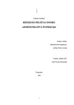 Prakses atskaite 'Rēzeknes pilsētas dome', 1.