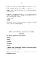 Konspekts 'Vadības grāmatvedība', 7.