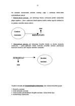 Konspekts 'Vadības grāmatvedība', 10.