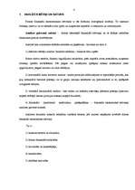 Referāts 'Uzņēmuma "Taga" finansiālās darbības analīze', 4.