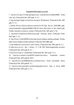 Referāts 'Fizikālie riska faktori un ar tiem saistītās arodslimības', 24.