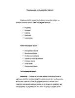 Prakses atskaite 'Grāmatvedības prakses atskaite', 3.