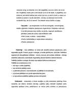 Prakses atskaite 'Grāmatvedības prakses atskaite', 4.