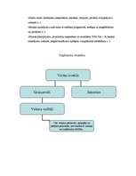 Prakses atskaite 'Grāmatvedības prakses atskaite', 17.