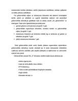 Prakses atskaite 'Grāmatvedības prakses atskaite', 19.