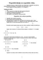 Konspekts 'Ogļūdeņraži', 2.